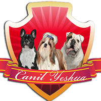 Canil Yeshua